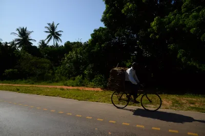 DSC_8291 (Large).JPG